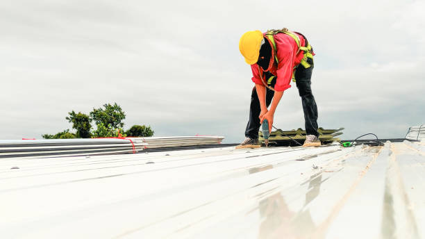 Best Roof Moss and Algae Removal  in Four Oaks, NC